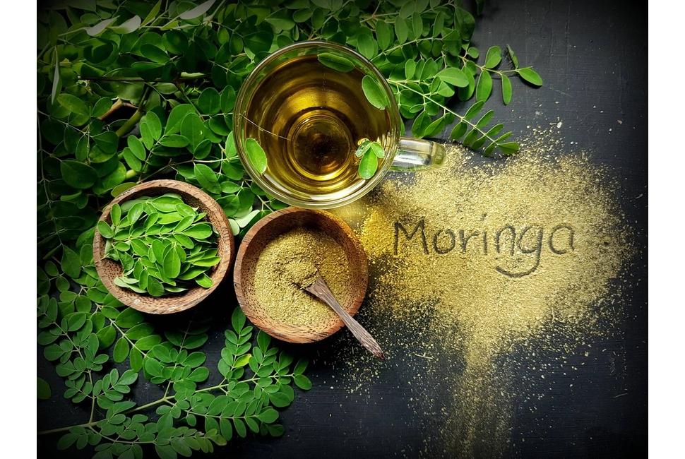 Moringa Power